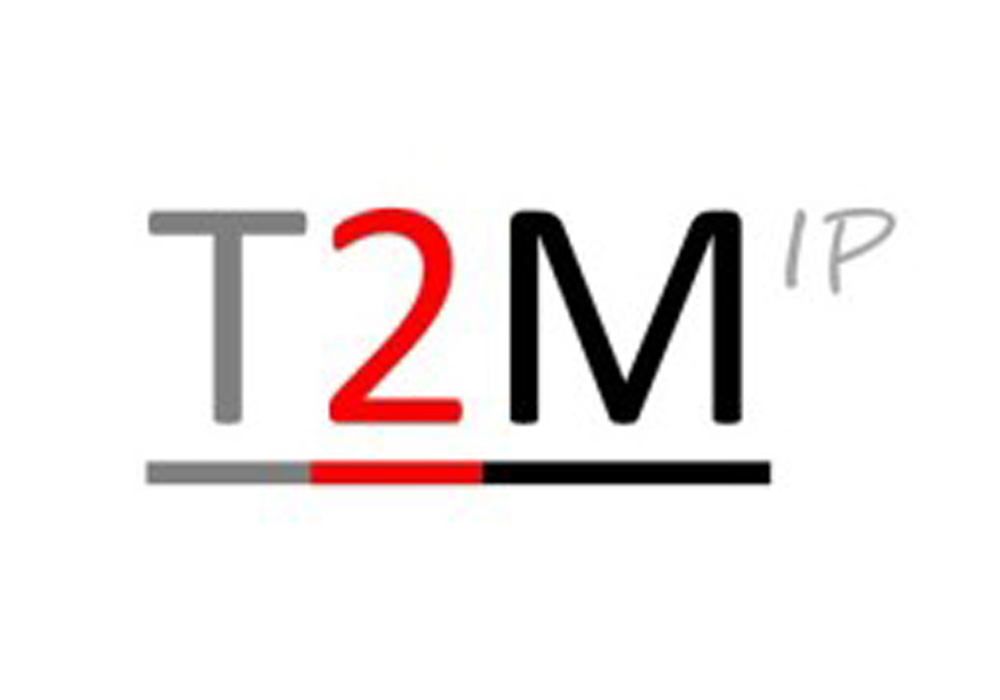 I3C-Eco-T2M